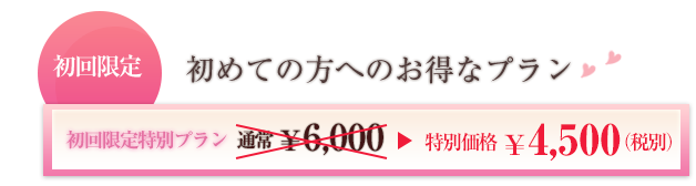 初回限定特別プラン通常￥6,000→特別価格￥4,500（税別）